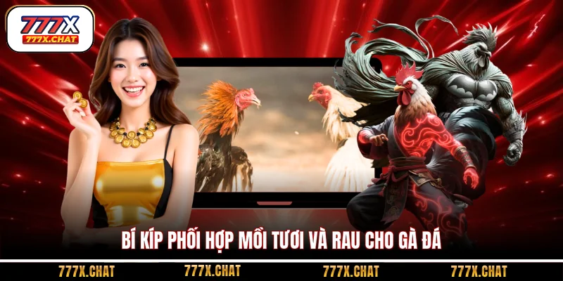 Bí kíp phối hợp mồi tươi và rau cho gà đá