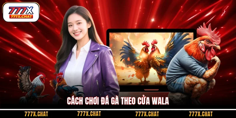 Cách chơi đá gà theo cửa Wala