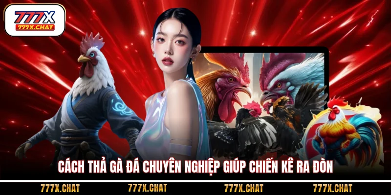 cách thả gà đá