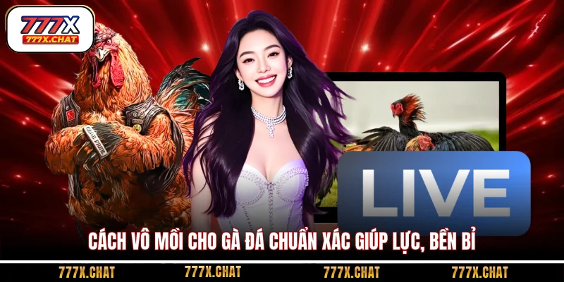 Cách vô mồi cho gà đá chuẩn xác giúp lực, bền bỉ