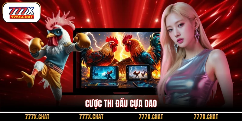 Cược thi đấu cựa dao