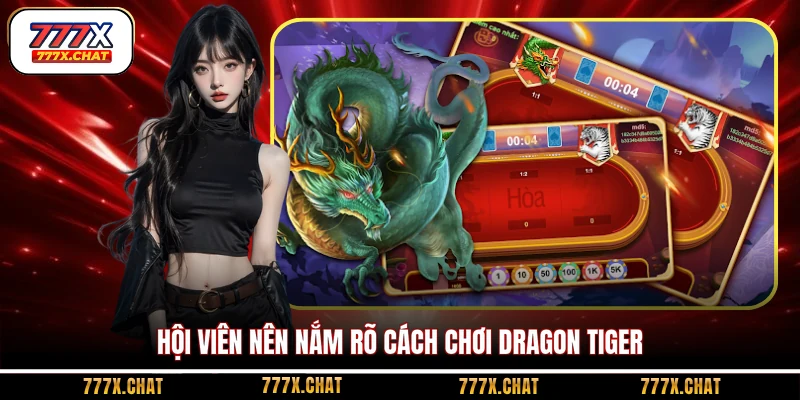 Hội viên nên nắm rõ cách chơi Dragon Tiger