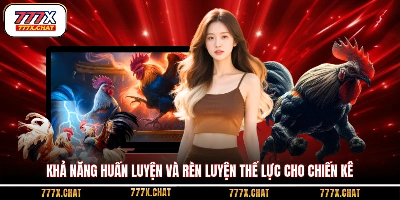 Khả năng huấn luyện và rèn luyện thể lực cho chiến kê